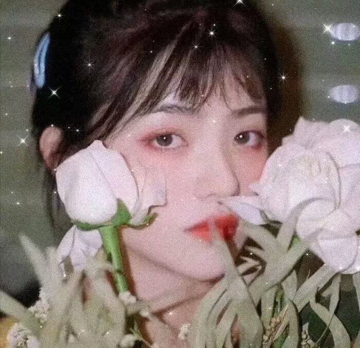 枪影世界